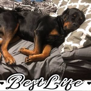 Meet your Posher, Rebekah